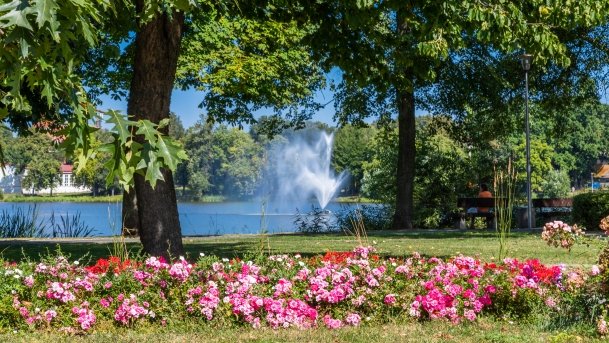 Szczytno - zdjęcie 82