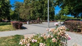 Szczytno - zdjęcie 81