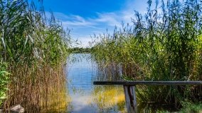 jezioro Domowe Duże - zdjęcie 11