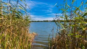 jezioro Domowe Duże - zdjęcie 10