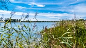 jezioro Domowe Duże - zdjęcie 9