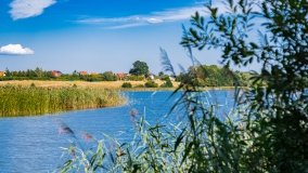 jezioro Domowe Duże - zdjęcie 8