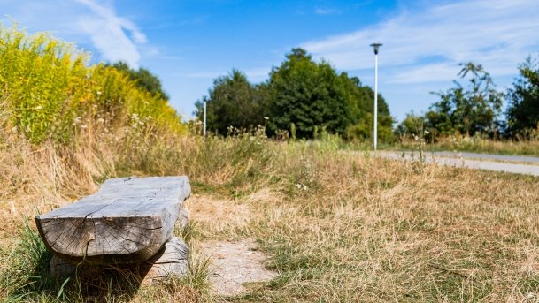 Szczytno - zdjęcie 21