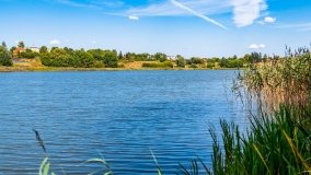 jezioro Domowe Duże - zdjęcie 7