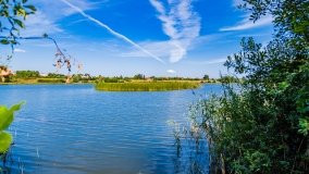 jezioro Domowe Duże - zdjęcie 6