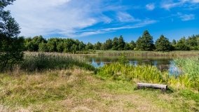 jezioro Domowe Duże - zdjęcie 5