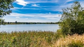 jezioro Domowe Duże - zdjęcie 4