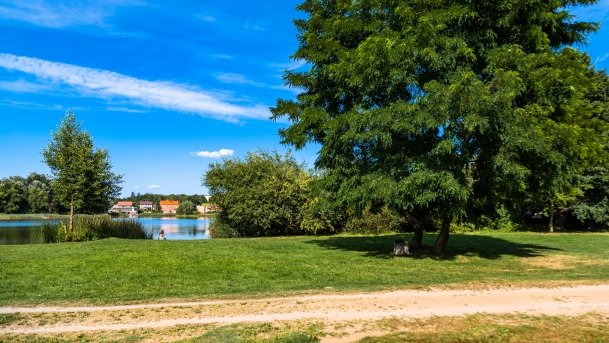 Szczytno - zdjęcie 12