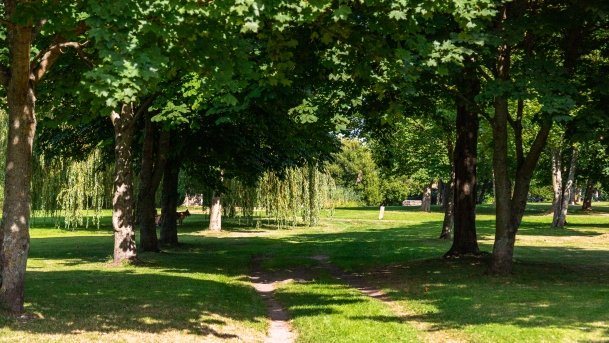 Szczytno - zdjęcie 11