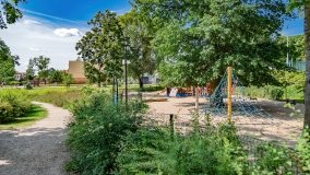 Olsztynek - zdjęcie 60