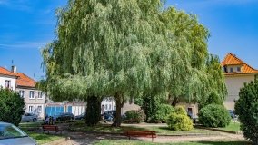 Olsztynek - zdjęcie 58