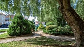 Olsztynek - zdjęcie 45