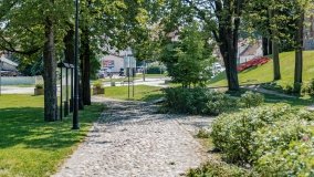 Olsztynek - zdjęcie 24