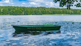 Jezioro Olecko Wielkie - zdjęcie 17