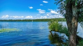 Jezioro Olecko Wielkie - zdjęcie 11