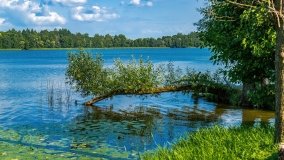 Jezioro Olecko Wielkie - zdjęcie 2