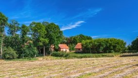 Leginy - zdjęcie 37