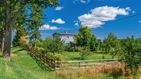 Leginy - zdjęcie 36