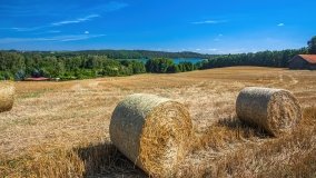 Leginy - zdjęcie 31