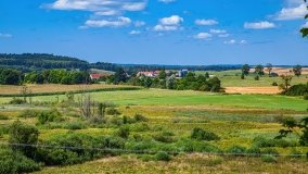 Leginy - zdjęcie 26