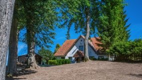 Leginy - zdjęcie 22