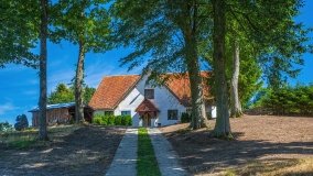 Leginy - zdjęcie 20