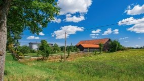 Leginy - zdjęcie 19