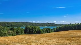 Leginy - zdjęcie 17