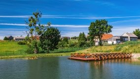 Leginy - zdjęcie 16