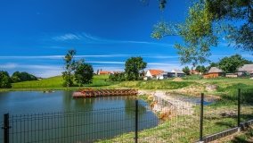 Leginy - zdjęcie 15