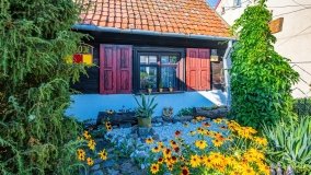 Święta Lipka - zdjęcie 24