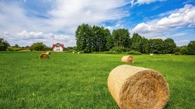 Kiersztanowo - zdjęcie 11