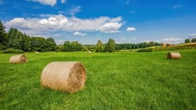 Kiersztanowo - zdjęcie 9