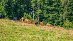 Kiersztanowo - zdjęcie 3