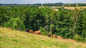 Kiersztanowo - zdjęcie 2