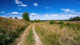 Widryny - zdjęcie 40