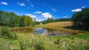 Widryny - zdjęcie 39