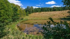 Widryny - zdjęcie 35