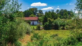 Widryny - zdjęcie 33