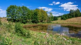 Widryny - zdjęcie 31