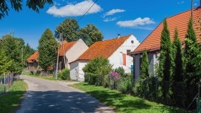 Widryny - zdjęcie 20