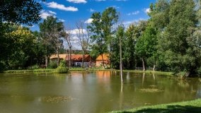 Widryny - zdjęcie 8