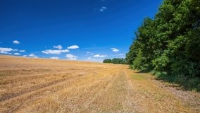 Widryny - zdjęcie 7