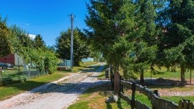 Widryny - zdjęcie 5