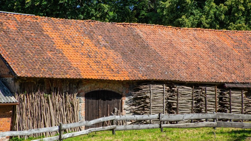 Widryny - zdjęcie 1