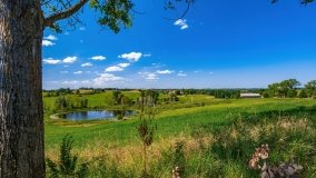 Maradki - zdjęcie 26