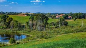 Maradki - zdjęcie 25