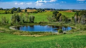 Maradki - zdjęcie 24