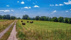 Maradki - zdjęcie 22