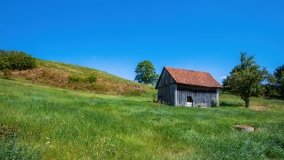 Maradki - zdjęcie 21